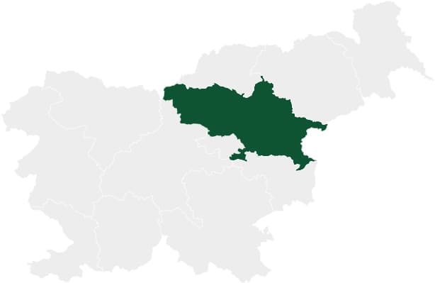 Савиньский регион